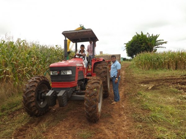 Secretaria de Agricultura e Meio Ambiente de Santa Luzia inicia a colheita do milho para silagem